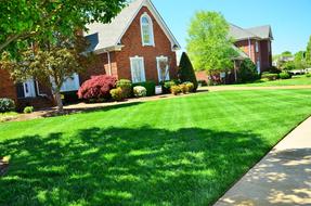 lawn services