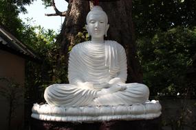 white sculpture of a sitting buddha