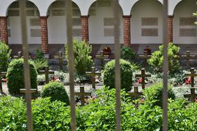photo of the cemetery through the bars