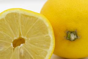 yellow Lemon Citrus