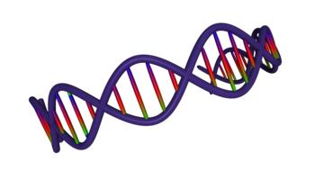 dna 3d medical science genetic drawing