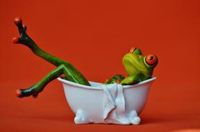 funny ceramic frog in bath