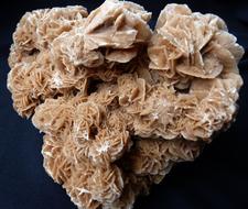 Sand Rose Desert