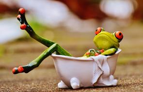 ceramic Frog Bath relax