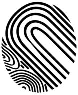 anatomy biology fingerprint hand drawing