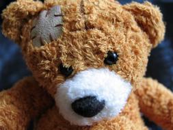 Plush Teddy Bear toy