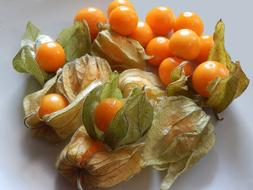 orange exotic fruit in husk