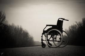 Wheelchair Lonely forest
