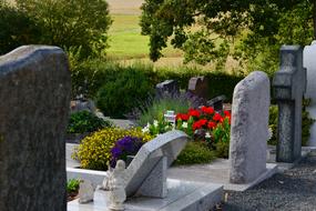 Graves Cemetery red flowers