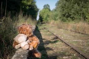 two teddy bears are sitting near the railway tracks