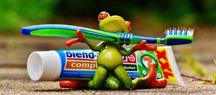 Toothpaste and ceramik Frog