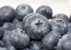 Fruit Blueberry health