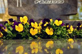 Grave Care Planting flowers
