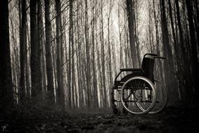 Wheelchair Lonely