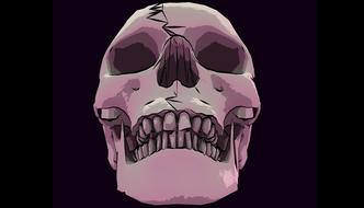 skull skeleton bone drawing