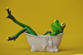 ceramic Frog in Bath Swim