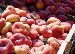 Saturn Peaches on market stall