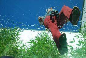 walk bare feet on a wet surface