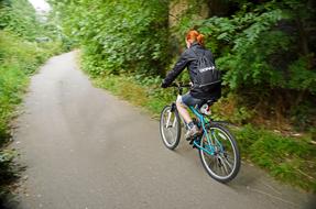 cycling on the road along the forest