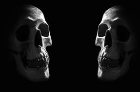 Anatomy Background skull faces