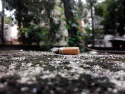 Cigarette Tobacco habit