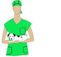 vet pet profession doctor drawing