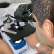 man looks in Microscope, Research