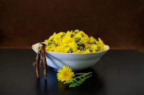 yellow dandelion buds on a white plate