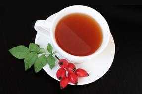 Darts Fruits Eglantine tea