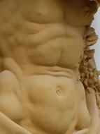 Body Muscles statue