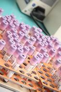 pink Laboratory Analysis