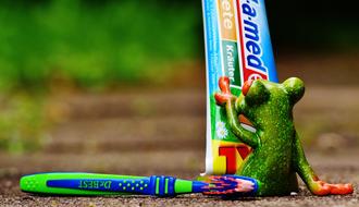 Toothpaste, Toothbrush and toy Frog