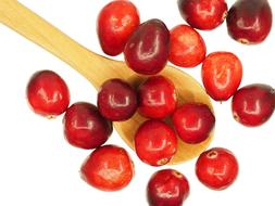 Cranberry and wood Spoon