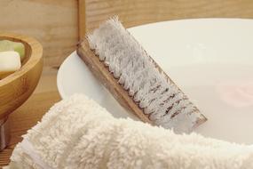 Wash Brush and Hand Bowl