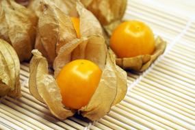orange Kut Berry Fruit