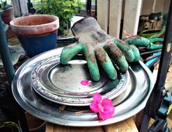 gardening gloves