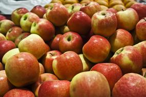 delicious red-green apples in a super market