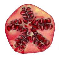 Fruit Pomegranate Sweet red
