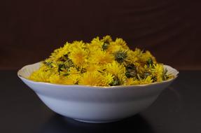 yellow dandelions in a white bowl