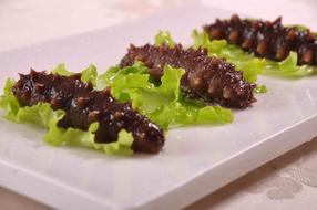 Sea Cucumber Health