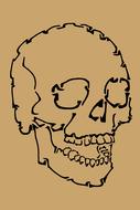 Drawn, black skull, at brown background, on clipart