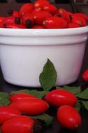 Darts Fruits Eglantine red