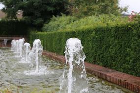 Beautiful fountain with water jets, among the green plants