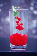 drink with red currants in a glass