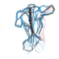 anatomy sketch human drawing
