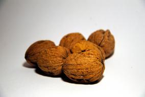 edible walnuts on a white background