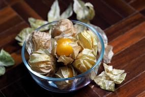 Kut Berry Fruit orange