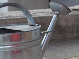 metal Watering Can in Garden