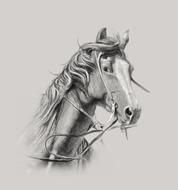 drawing of horse on wall