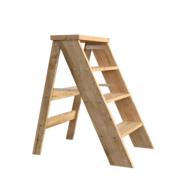 isolated wooden ladder